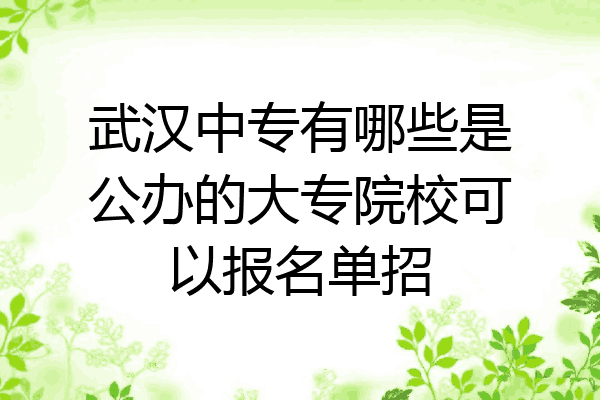 武汉中专有哪些是公办的大专院校可以报名单招