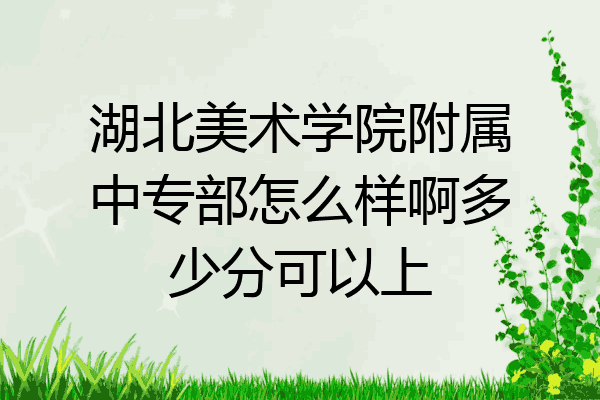 湖北美术学院附属中专部怎么样啊多少分可以上