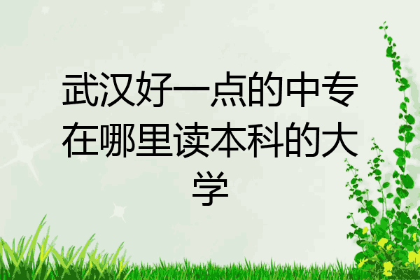 武汉好一点的中专在哪里读本科的大学