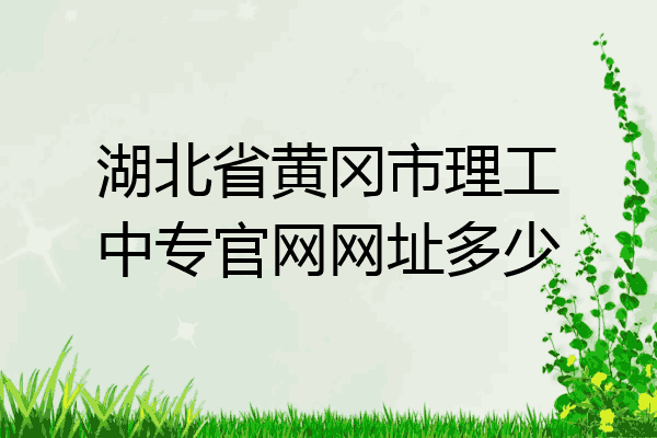 湖北省黄冈市理工中专官网网址多少