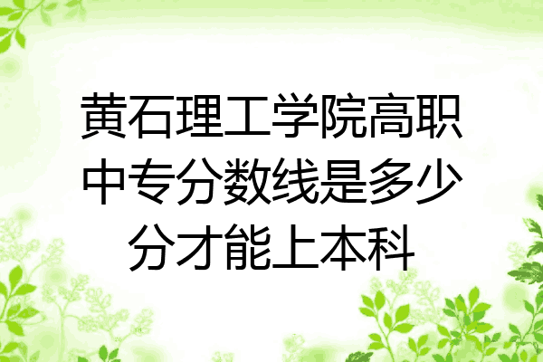 黄石理工学院高职中专分数线是多少分才能上本科