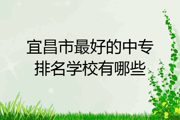 宜昌市最好的中专排名学校有哪些