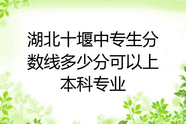 湖北十堰中专生分数线多少分可以上本科专业
