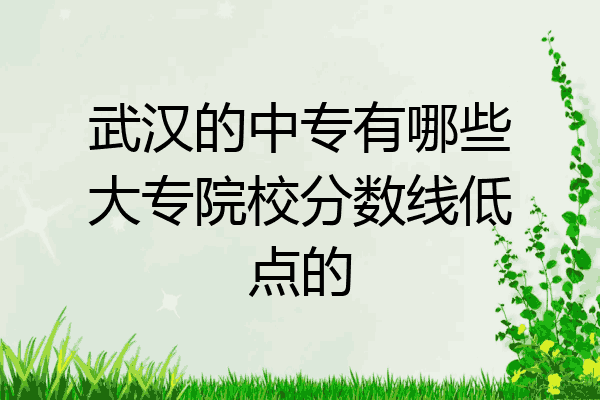 武汉的中专有哪些大专院校分数线低点的