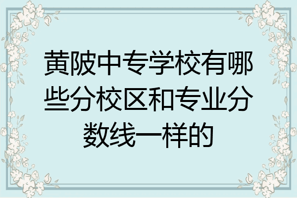 黄陂中专学校有哪些分校区和专业分数线一样的