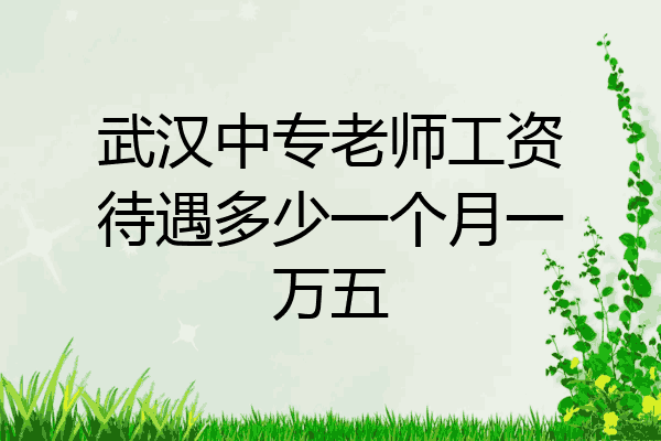 武汉中专老师工资待遇多少一个月一万五