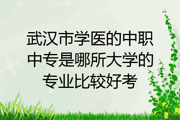 武汉市学医的中职中专是哪所大学的专业比较好考