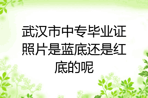 武汉市中专毕业证照片是蓝底还是红底的呢