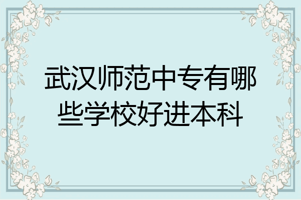 武汉师范中专有哪些学校好进本科