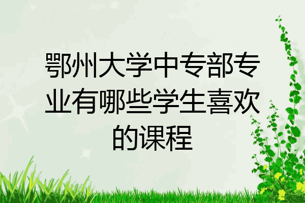 鄂州大学中专部专业有哪些学生喜欢的课程