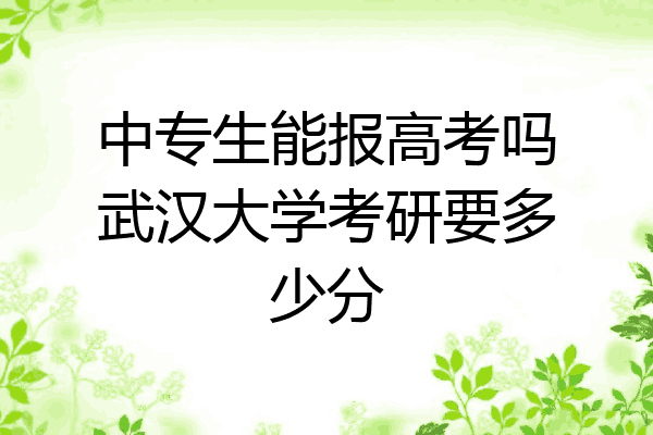 中专生能报高考吗武汉大学考研要多少分