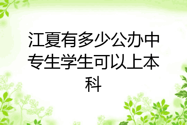 江夏有多少公办中专生学生可以上本科