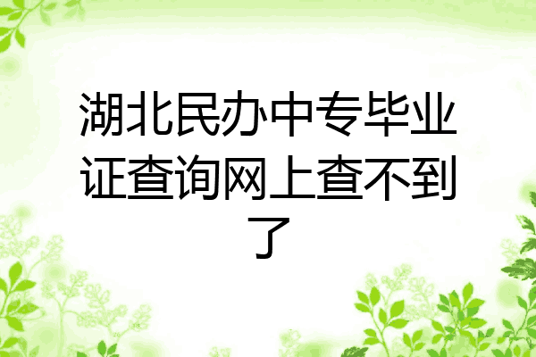 湖北民办中专毕业证查询网上查不到了