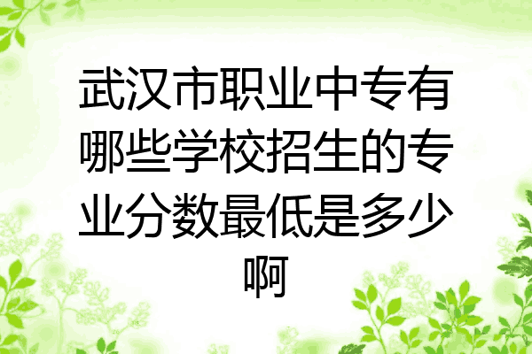武汉市职业中专有哪些学校招生的专业分数最低是多少啊