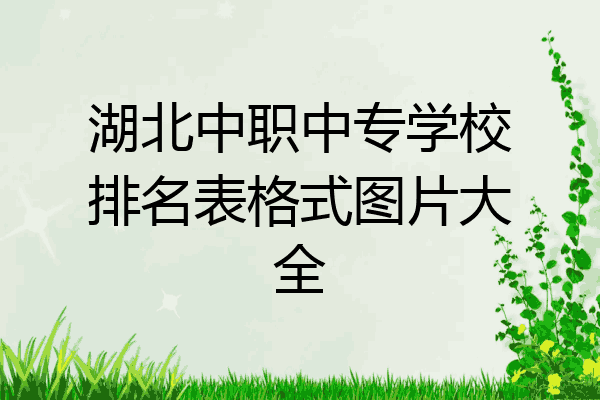 湖北中职中专学校排名表格式图片大全