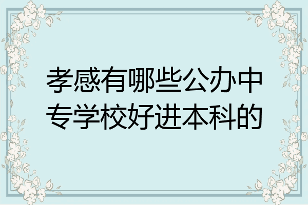 孝感有哪些公办中专学校好进本科的