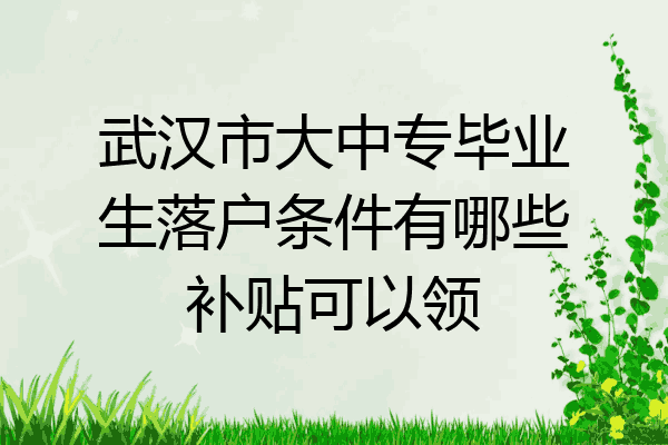 武汉市大中专毕业生落户条件有哪些补贴可以领