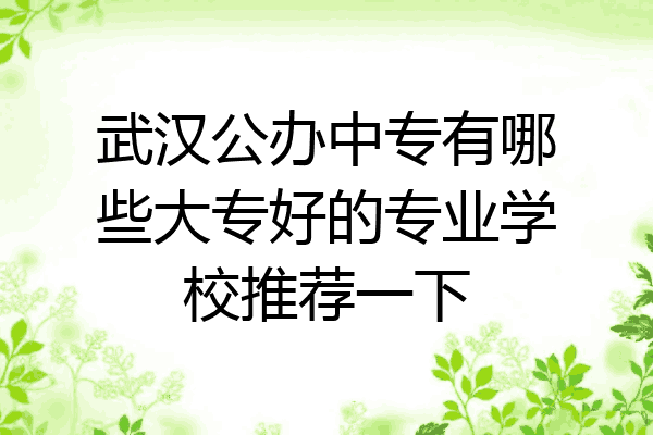 武汉公办中专有哪些大专好的专业学校推荐一下
