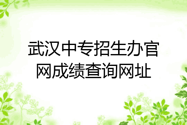 武汉中专招生办官网成绩查询网址