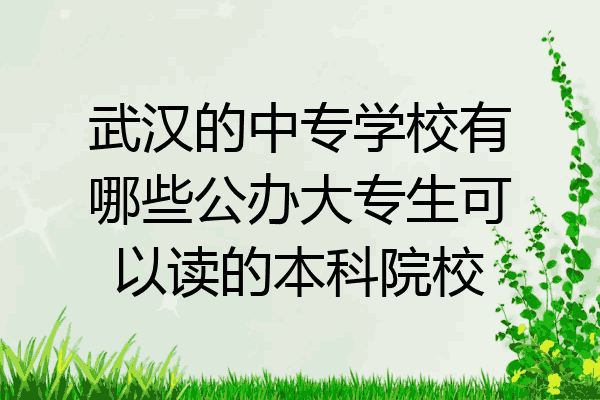 武汉的中专学校有哪些公办大专生可以读的本科院校