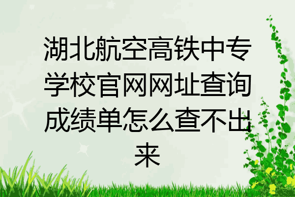 湖北航空高铁中专学校官网网址查询成绩单怎么查不出来