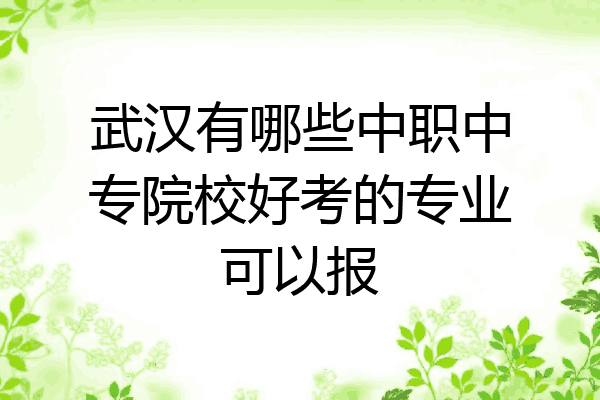 武汉有哪些中职中专院校好考的专业可以报