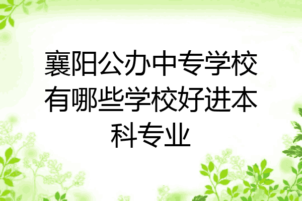 襄阳公办中专学校有哪些学校好进本科专业