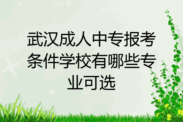 武汉成人中专报考条件学校有哪些专业可选