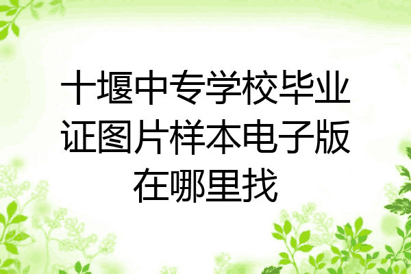 十堰中专学校毕业证图片样本电子版在哪里找