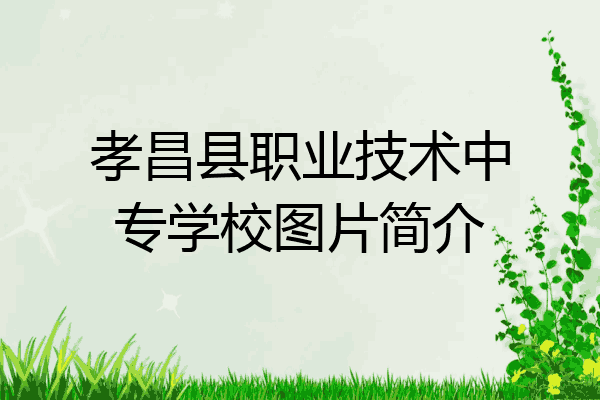 孝昌县职业技术中专学校图片简介