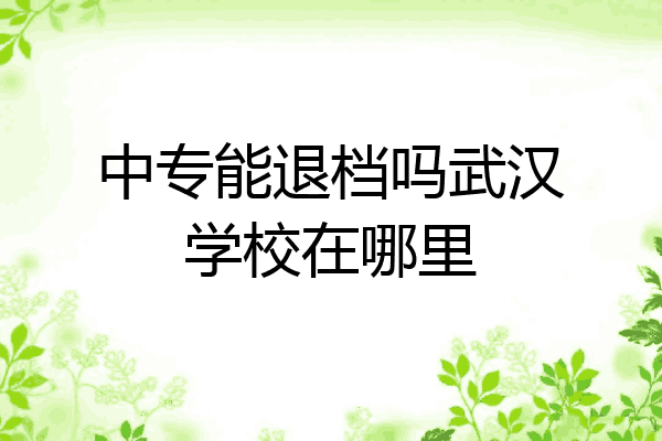 中专能退档吗武汉学校在哪里