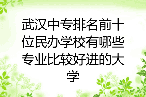 武汉中专排名前十位民办学校有哪些专业比较好进的大学