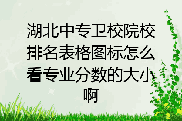 湖北中专卫校院校排名表格图标怎么看专业分数的大小啊