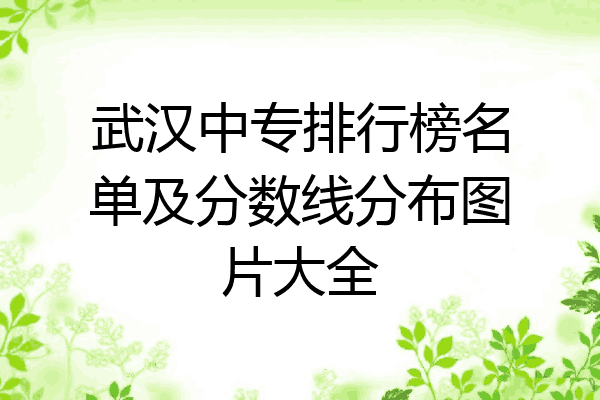 武汉中专排行榜名单及分数线分布图片大全
