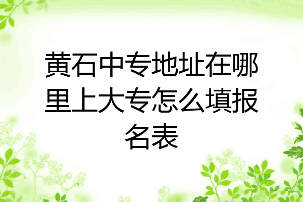 黄石中专地址在哪里上大专怎么填报名表