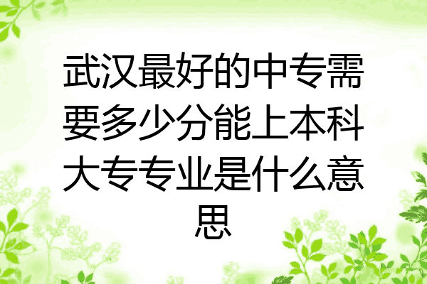 武汉最好的中专需要多少分能上本科大专专业是什么意思