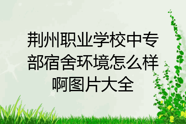荆州职业学校中专部宿舍环境怎么样啊图片大全