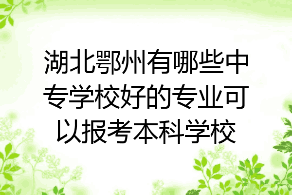 湖北鄂州有哪些中专学校好的专业可以报考本科学校