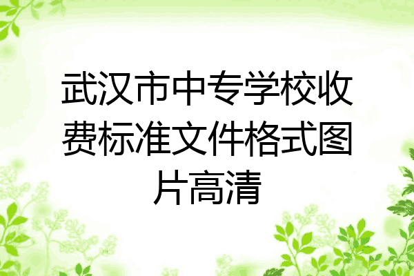 武汉市中专学校收费标准文件格式图片高清