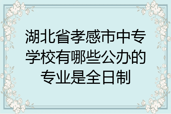 湖北省孝感市中专学校有哪些公办的专业是全日制