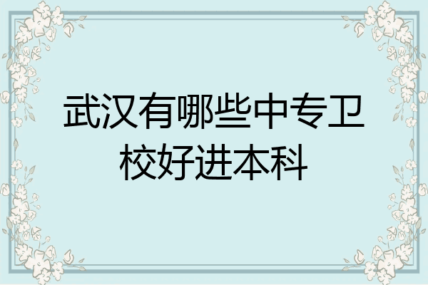 武汉有哪些中专卫校好进本科