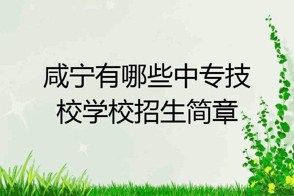 咸宁有哪些中专技校学校招生简章