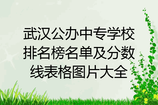 武汉公办中专学校排名榜名单及分数线表格图片大全