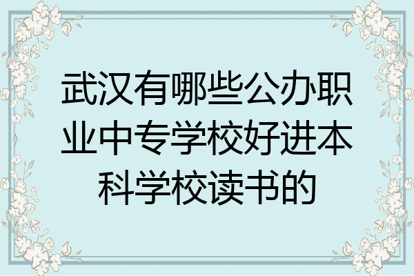 武汉有哪些公办职业中专学校好进本科学校读书的