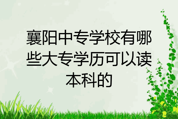 襄阳中专学校有哪些大专学历可以读本科的