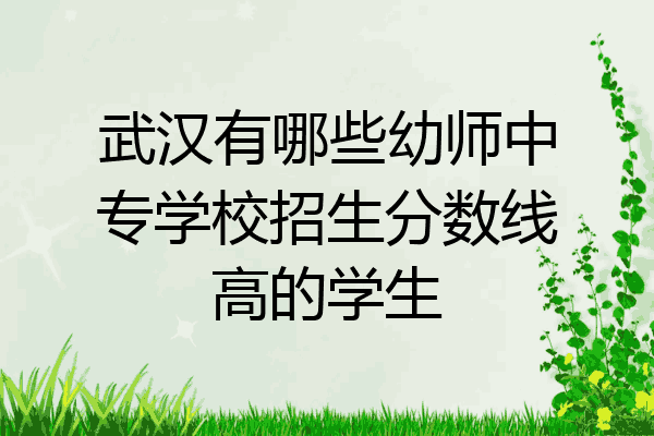 武汉有哪些幼师中专学校招生分数线高的学生