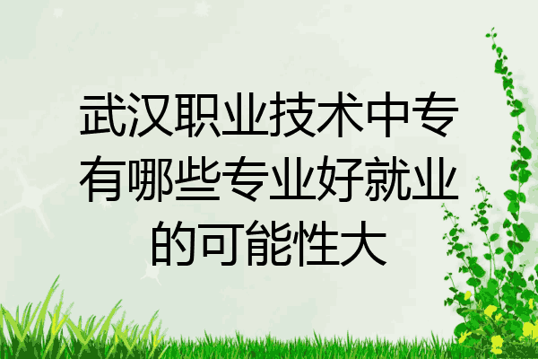 武汉职业技术中专有哪些专业好就业的可能性大