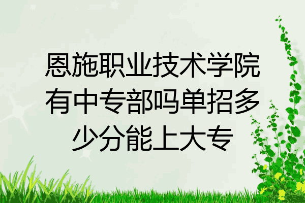 恩施职业技术学院有中专部吗单招多少分能上大专