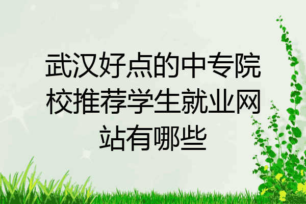 武汉好点的中专院校推荐学生就业网站有哪些