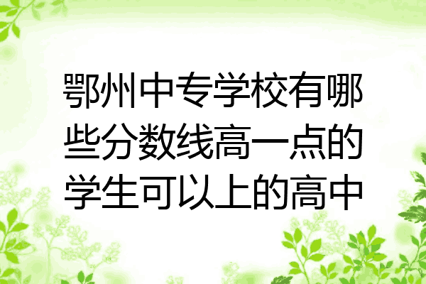 鄂州中专学校有哪些分数线高一点的学生可以上的高中